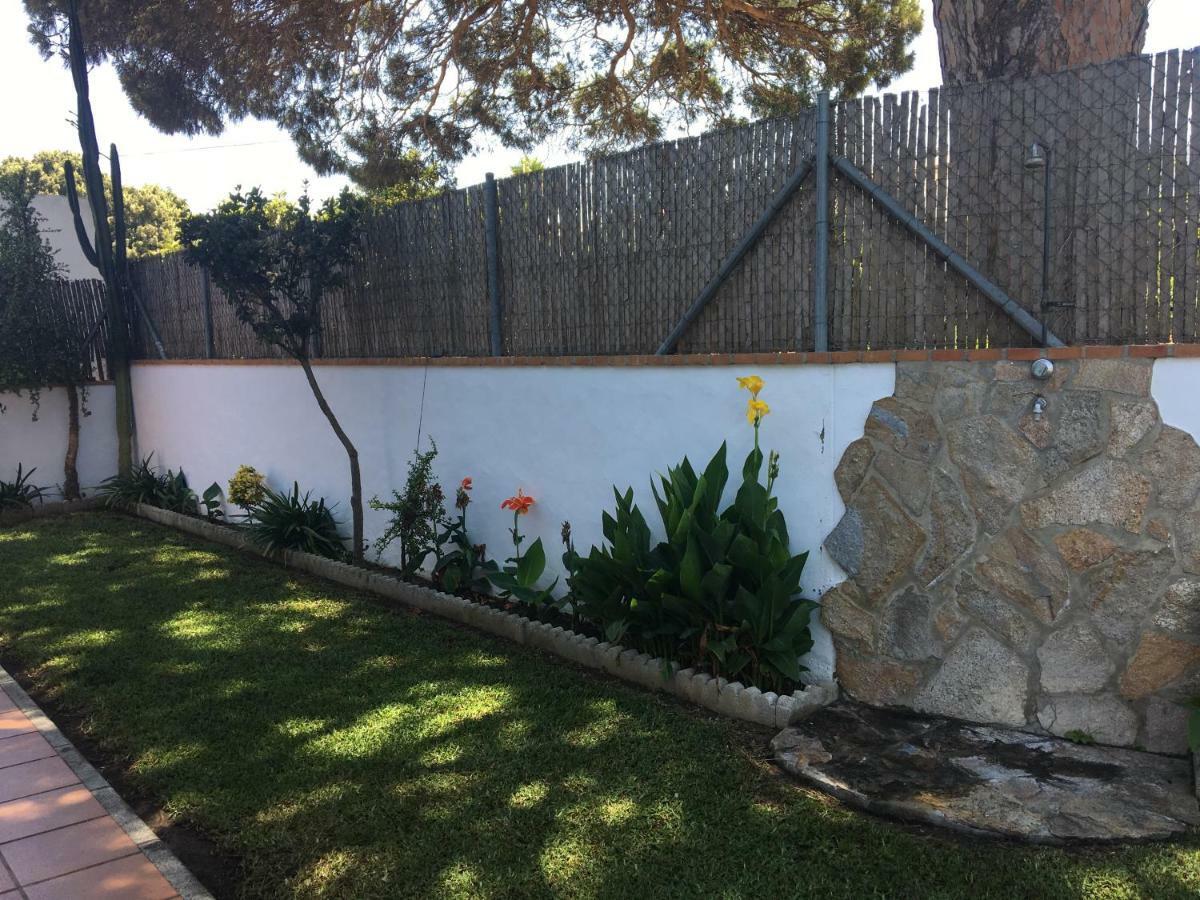 Villa Gallardo - Cerca Playa Y Pueblo - Solo Parejas O Familias Conil De La Frontera Eksteriør bilde